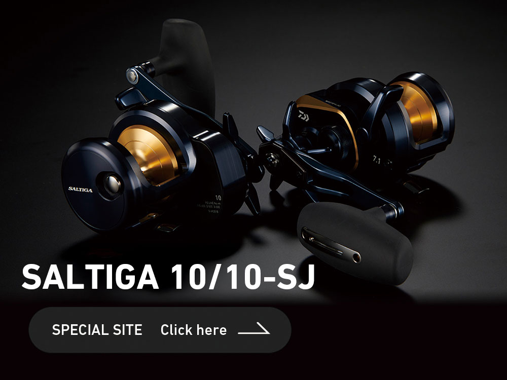 ソルティガ10/15/35 スペシャルページへのリンク